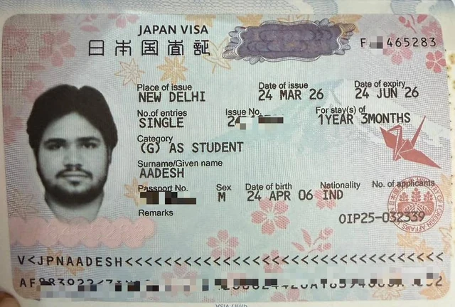 VISA - Soyogi